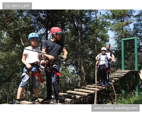 云顶真人游戏技术分析与策略指导，帮助玩家优化游戏策略提升胜率