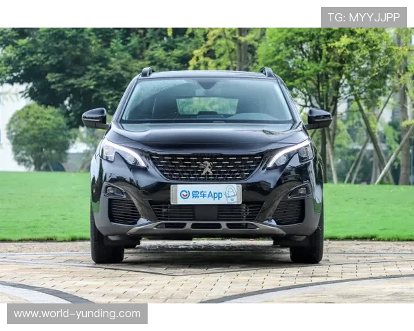 云顶4008备用入口最新安全稳定版本推荐与详细操作指南 云顶4008备用入口最新安全稳定版本推荐与详细操作指南