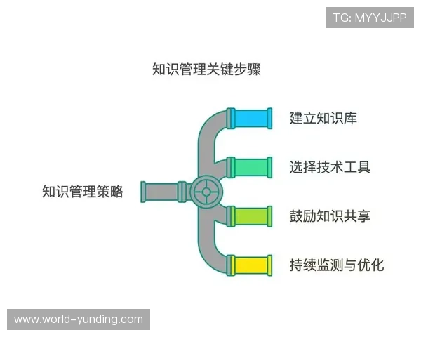 云顶投资有限公司的风险控制策略与投资回报率提升路径分析