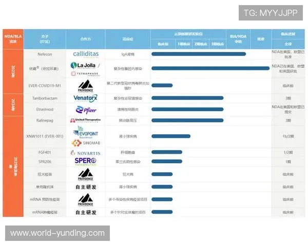 云顶新耀官网多平台支持，支持PC端、手机端同步体验的详细介绍