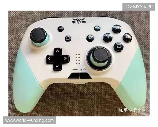 云鼎棋牌新手入门必看，详细介绍游戏玩法和快速上手技巧帮助玩家顺利开始