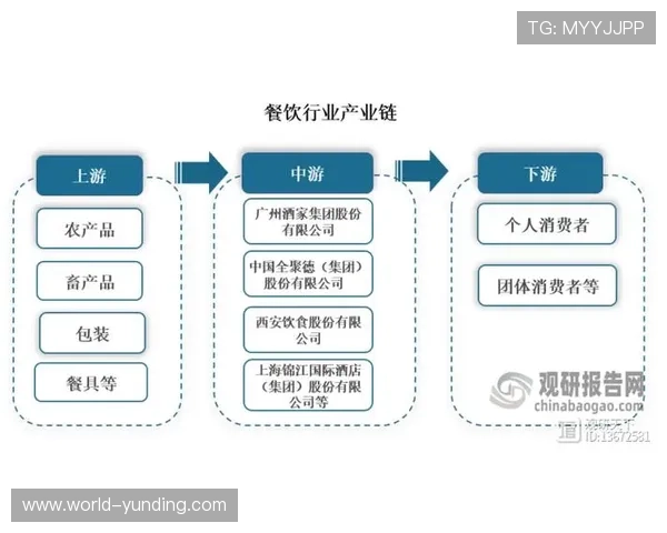 云顶集团的历史背景、发展历程及其在行业中的地位变化