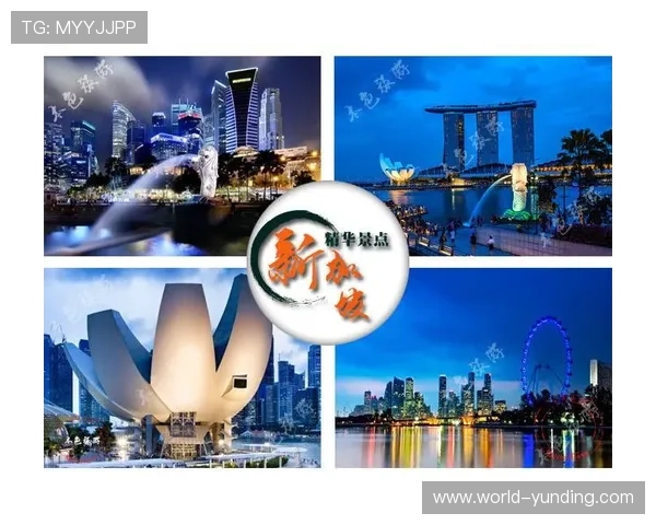 新加坡云顶高原：未来发展规划与投资潜力分析报告