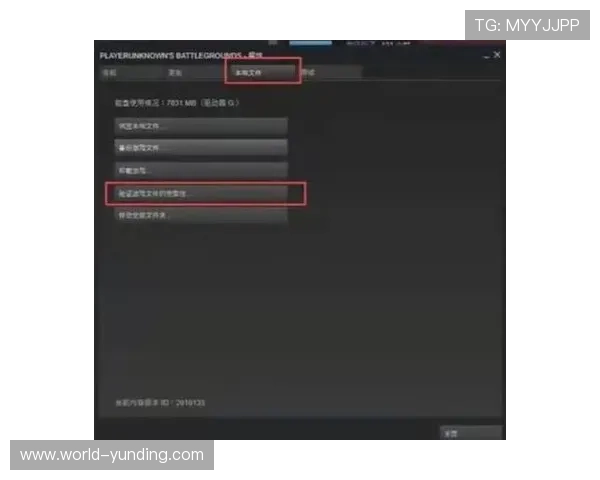 WM视讯平台的安全保障措施详解为玩家提供一个安全可靠的线上游戏环境