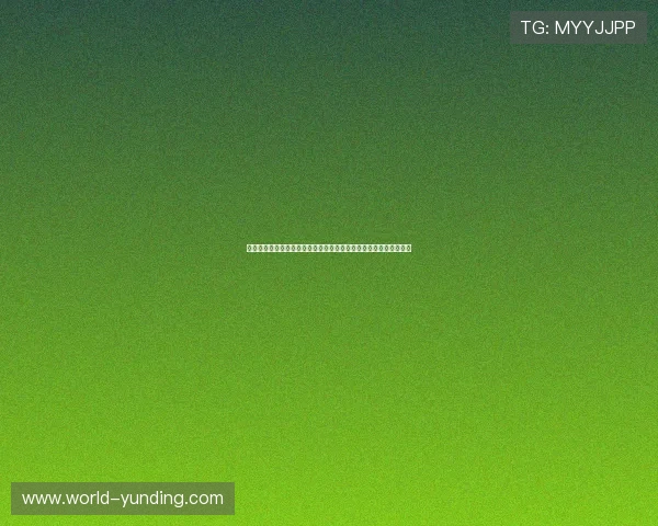 云鼎娱乐官网安全可靠保障玩家资金安全，打造放心的线上游戏环境
